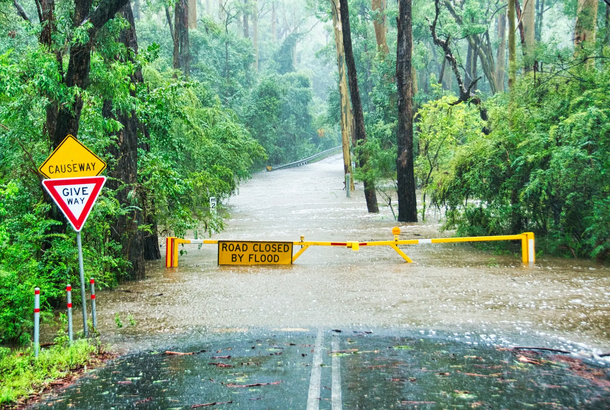 Flooded road with a give way sign in Annangrove, New South Wales